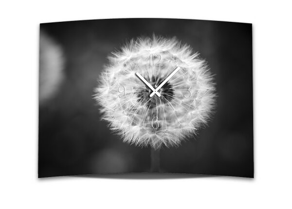 Wanduhr XXL 3D Optik Dixtime schwarz weiß Pusteblume 50x70 cm leises Uhrwerk GR-042