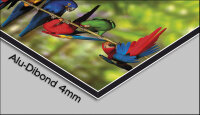 Digital Art Streifen bunt Designer Wanduhr modernes...