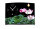 Wanduhr XXL 3D Optik Dixtime pink Lotus Blüte 50x70 cm leises Uhrwerk GR-024