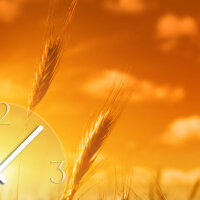 Wanduhr XXL 3D Optik Dixtime Sonnenuntergang Kornfeld 50x70 cm leises Uhrwerk GR-020