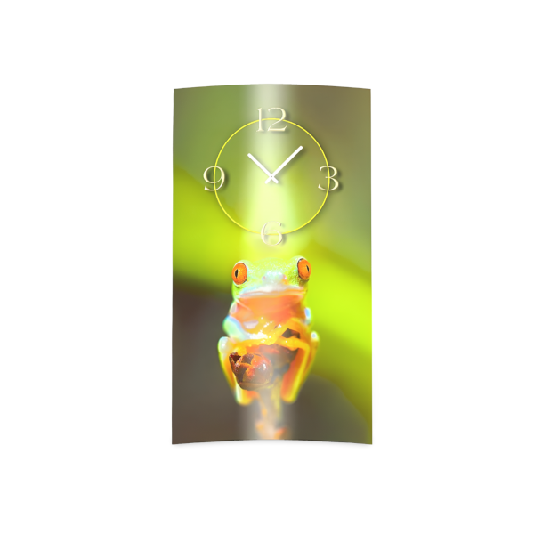 Baumfrosch Dschungel Designer Wanduhr modernes Wanduhren Design leise kein ticken dixtime 3D-0173