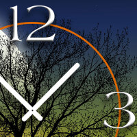 Vollmond Wald Designer Wanduhr modernes Wanduhren Design leise kein ticken dixtime 3D-0159