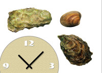 Tischuhr 30cmx30cm inkl. Alu-Ständer -modernes Design Muscheln  Strandgut geräuschloses Quarzuhrwerk -Wanduhr-Standuhr TU4186 DIXTIME