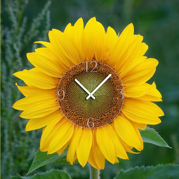 6040 Dixtime Designer Wanduhr, Wanduhren, Moderne Bürouhr