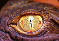 6005 Dixtime Designer Wanduhr, Wanduhren, Wohnraumuhr