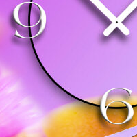 rosa Blumen Designer Wanduhr modernes Wanduhren Design leise kein ticken dixtime 3D-0128