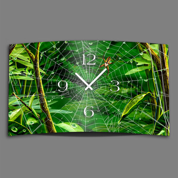 Dschungel Spinnennetz Designer Wanduhr modernes Wanduhren Design leise kein ticken dixtime 3D-0094