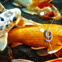 Wanduhr XXL 3D Optik Dixtime Fische 30x90 cm leises Uhrwerk GL-021