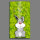 Bunny Häschen Designer Wanduhr modernes Wanduhren Design leise kein ticken dixtime 3DS-0172