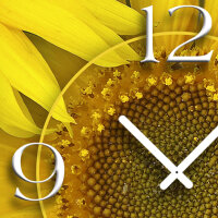 Sonnenblumen Designer Wanduhr modernes Wanduhren Design leise kein ticken dixtime 3DS-0148