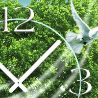 weiße Taube Baum Designer Wanduhr modernes Wanduhren Design leise kein ticken dixtime 3DS-0101