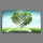 weiße Taube Baum Designer Wanduhr modernes Wanduhren Design leise kein ticken dixtime 3DS-0101