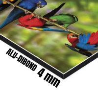 Abstrakt grau Designer Wanduhr modernes Wanduhren Design leise kein ticken dixtime 3DS-0053