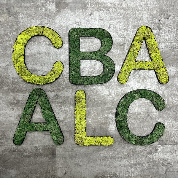 Islandmoos – Buchstabe