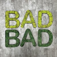 Islandmoos – Set BAD