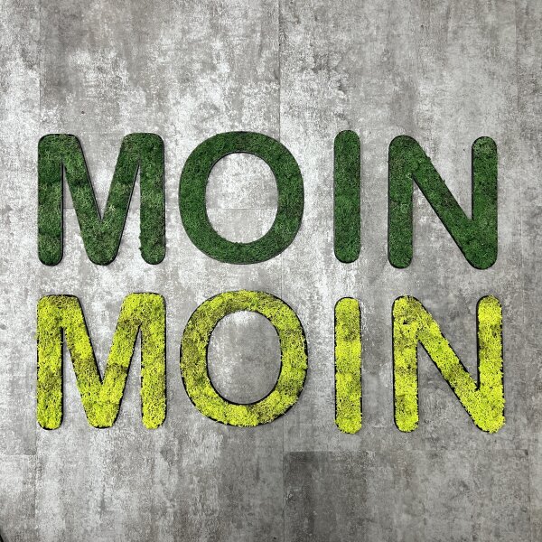 Islandmoos – Set MOIN