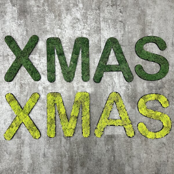 Islandmoos – Set XMAS