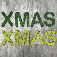 Islandmoos – Set XMAS