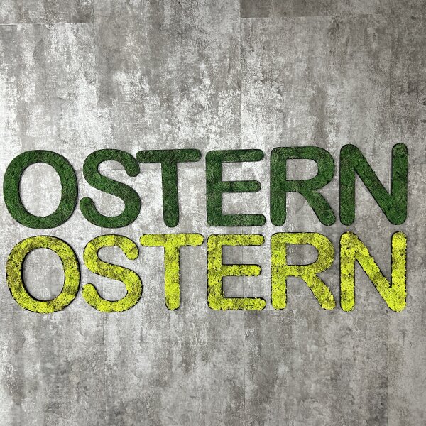 Islandmoos – Set OSTERN