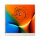 Tischuhr 30cmx30cm inkl. Alu-Ständer -abstraktes zeitloses Design orange blau geräuschloses Quarzuhrwerk -Kaminuhr-Standuhr TU3074 DIXTIME